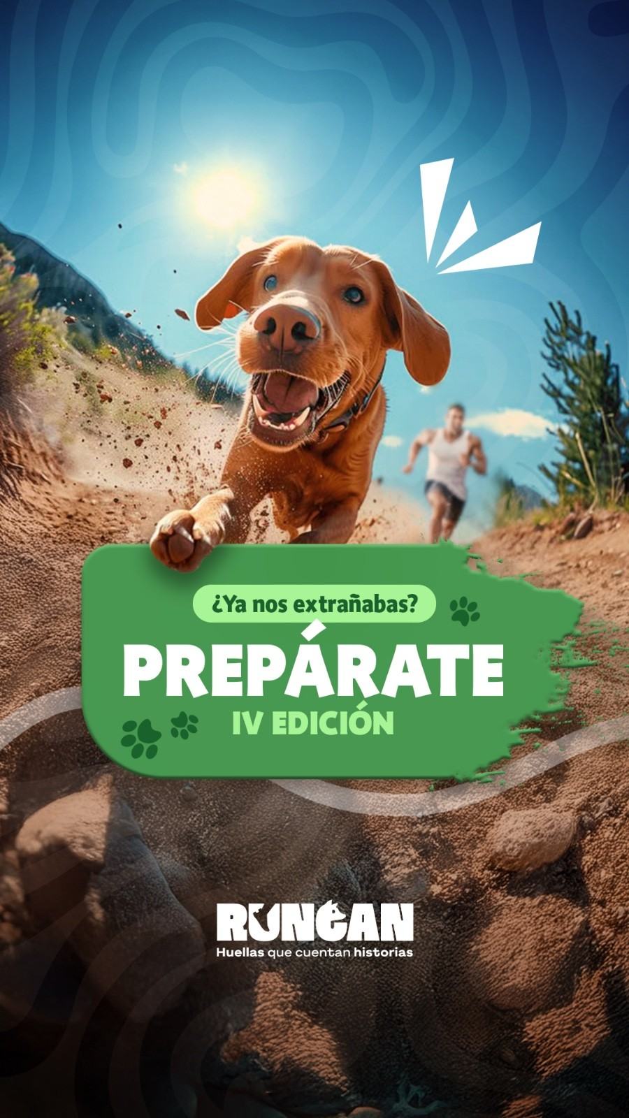 Perro corriendo en RunCan